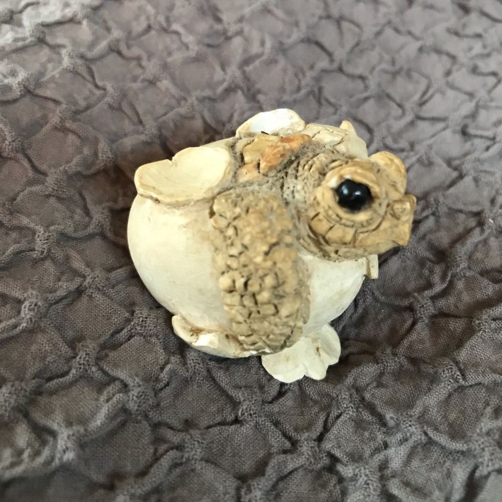 Adorable little turtle hatchling from 1990.